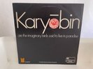 JOHN STEVENS SPONTANEOUS MUSIC ENSEMBLE - KARYOBIN - PINK ISLAND DG - UK ORIG NM