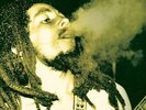 Bob Marley Studio Recordings Intro To The Matrix (Vinyl)