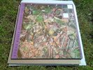 Stone Roses   So Young  / Tell Me 12” Vinyl    UK 1st Press Rare    Thin Line
