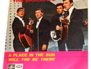 THE SHADOWS ---- a place in the sun -----