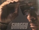 Shaggy / Hot Shot  Vinyl 2020  LP RECORD  NEWSEALED