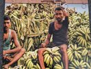 Bananas
