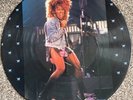 tina turner picture vinyl  is 12” Private Dancer
