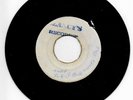 KING STITT - LICK IT BACK / DYNAMITES - REGGAEDELIC [ BLANK ] 7