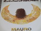 DOPPIO LP VINILE MAURO REPETTO (883) 