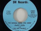 Johnny Daniel & Soul Malibu's 