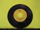 VHTF SWEET NORTHERN 45 Willie Cooper & Webs Whiz 508 You Don’t Love Nobody / I