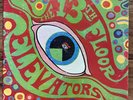 13TH FLOOR ELEVATORS 1967 The Psychedelic Sounds LP Vinyl Roky Erickson Stereo