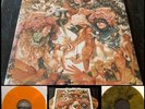 BARONESS Gold & Grey 2x LP Vinyl Tour Edition SEALED w/ PRINT John Dyer Baizley
