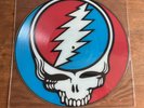 RARE Grateful Dead Steal Your Face Vinyl 12