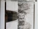ELVIS PERKINS THE BLACKCOATS DAUGHTER Colour Vinyl LP DEATH WALTZ MONDO