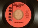 The Hallmarks Soul Shakin' Psychedelic Sally/Girl Of My Dreams CRAZY RARE  Psych