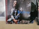 Busta Rhymes -  When Disaster Strikes OG PRESSING 2LP 1997