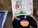 Jerry Jeff Walker Mr. Bojangles First Press Plum Label VG+ Vinyl