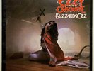 Vtg 1981 OZZY OSBOURNE Album BLIZZARD OF OZZ Lp 1ST PRESS OG VINYL is NEAR MINT