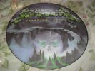 METALLICA -CREEPING DEATH- AWESOME RARE LTD EDITION PICTURE DISC VINYL NO CODE