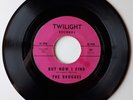 THE BROGUES Single (But Now I Find  (Twilight 408 - USA 1965)