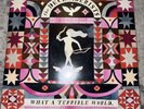 What a Terrible World: What a Beautiful World by Decemberists (Record, 2015)