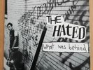 THE HATED What was behind LP Vermin Scum recs MOSS ICON emo