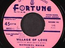 NATHANIEL MAYER & FABULOUS TWILIGHTS: village of love FORTUNE 7