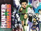 Hunter x Hunter Anime Vinyl Record Soundtrack Gon Green Transparent Swirl NEW