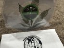 SLEEP LEAVES BENEATH 12” LP Vinyl WEED Marijuana variant THIRD MAN RECORDS