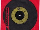 RADIO BIRDMAN What gives VINYL 45 UK Sire rare  punk 1978 kbd
