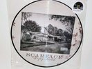 Scarface – Deeply Rooted Picture Disc LP vinyl record Hip-Hop Rap