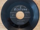 Pete De Bree-mis-press 45 HEY MR. PRESLEY/Jimmy Gartin HONEY WON'T Fortune EX