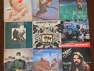 Van Halen Sammy Hagar David Lee Roth Thin Lizzy Stray Cats Rainbow bob seger LPs