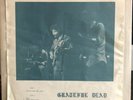 EARLY LIVE GRATEFUL DEAD - TURN ON YOUR LOVE LIGHT Vinyl LP FADE LBL GD 2222