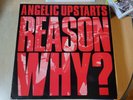 Angelic Upstarts REASON WHY? UK LP Punk