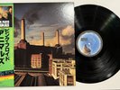 PINK FLOYD