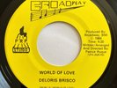 DELORIS BRISCO World of Love BROADWAY 45 RARE MODERN SOUL BOOGIE STEPPER MP3