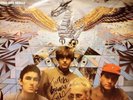 The Go-Betweens Metal And Shells Signed Grant McLennan Robert Forster