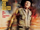 Billy Joe Shaver - One Night In Luckenbach Texas - LP