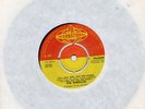 SHIRELLES   IT'S A MAD MAD MAD MAD MAD WORLD / 31  FLAVORS  UK PYE INTERNATIONAL
