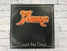 Flame Count The Days LP GALE LP03