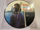 Peter the angel Gabriel Vinyl  Picture Record Disc Classic Rock Statue Liberty