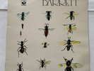 Syd Barrett, Barrett LP
