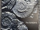 1990 UK LP. The Sundays: Reading, Writing & Arithmetic. MINT.
