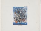 TALK TALK SPIRIT OF EDEN  VINILE LP 33 GIRI ANNO 1988  (127)
