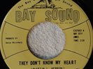 northern soul THE BLEU LIGHTS They Don t Know My Heart BAY SOUND 67003 M-