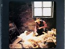 Gordon Waller-Gordon UK Vertigo swirl folk near mint lp Peter & Gordon solo