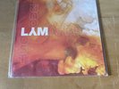 Serato Orange Marble LYM Double Vinyl SEALED