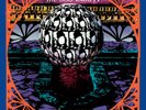 THE BOO RADLEYS GIANT STEPS (30TH ANNIVERSARY EDITION) (INDI (Vinyl) (UK IMPORT)
