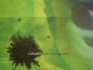 Eiafuawn - Birds In The Ground NEW Sealed Vinyl