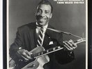 T-BONE WALKER COMPLETE RECORDINGS OF 1940-1954 MOSAIC MR9130 US-PRESS VINYL 9LP