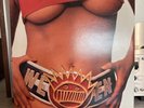 Ween - Chocolate And Cheese 180 Gram Vinyl 2-LP Set Plain recording