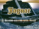 DJ Rolando - Jaguar - New Vinyl Record 12 - V4593S